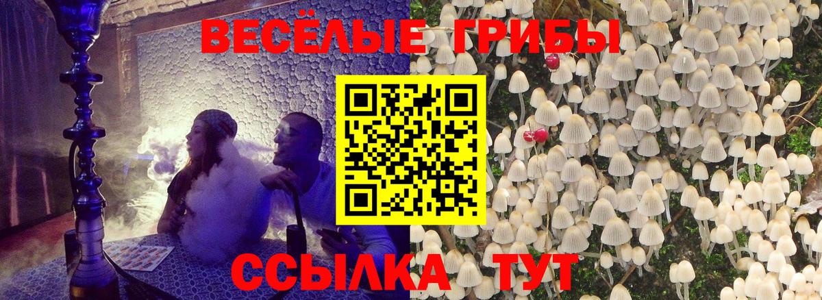 Псилоцибиновые грибы прущие грибы Уварово